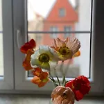Kolysanka Private In Old Town Kwatera prywatna Poznań