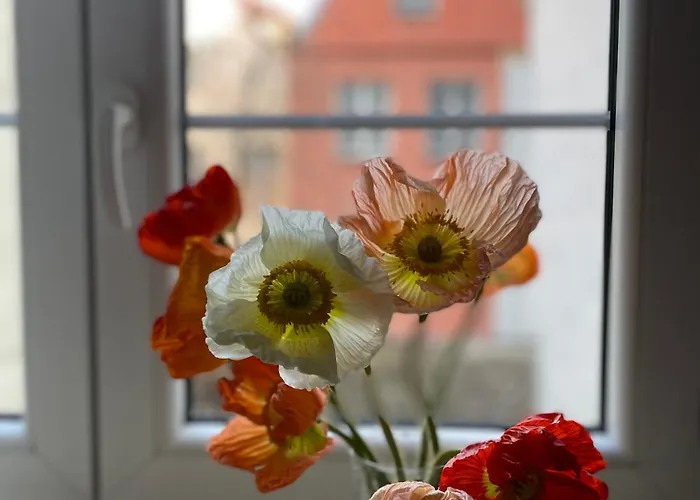 Kolysanka Private In Old Town Pansiyon Poznan